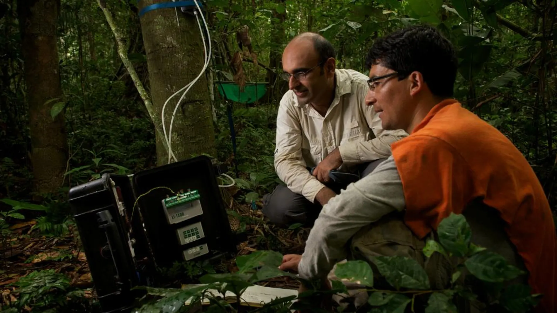 Dos investigadores realizan mediciones en una de las parcelas de selva estudiadas