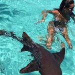 Ana Boyer, nadando entre tiburones