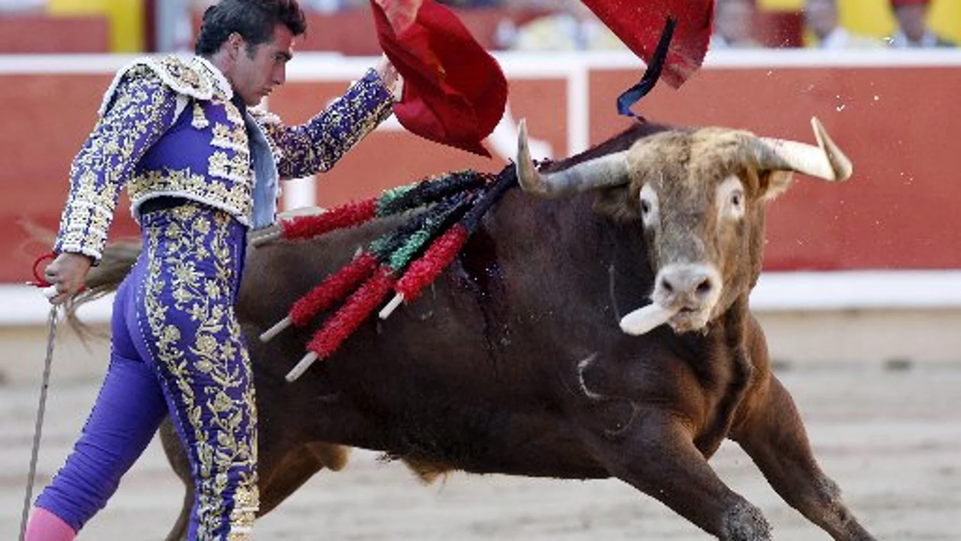 «Capuchino», el toro que nadie quería ver