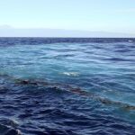 La guardamar Talía, de Salvamento Marítimo, realiza labores de búsqueda de combustible en la costa de Gran Canaria
