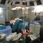 Extracción de un riñón a un paciente para un posterior trasplante