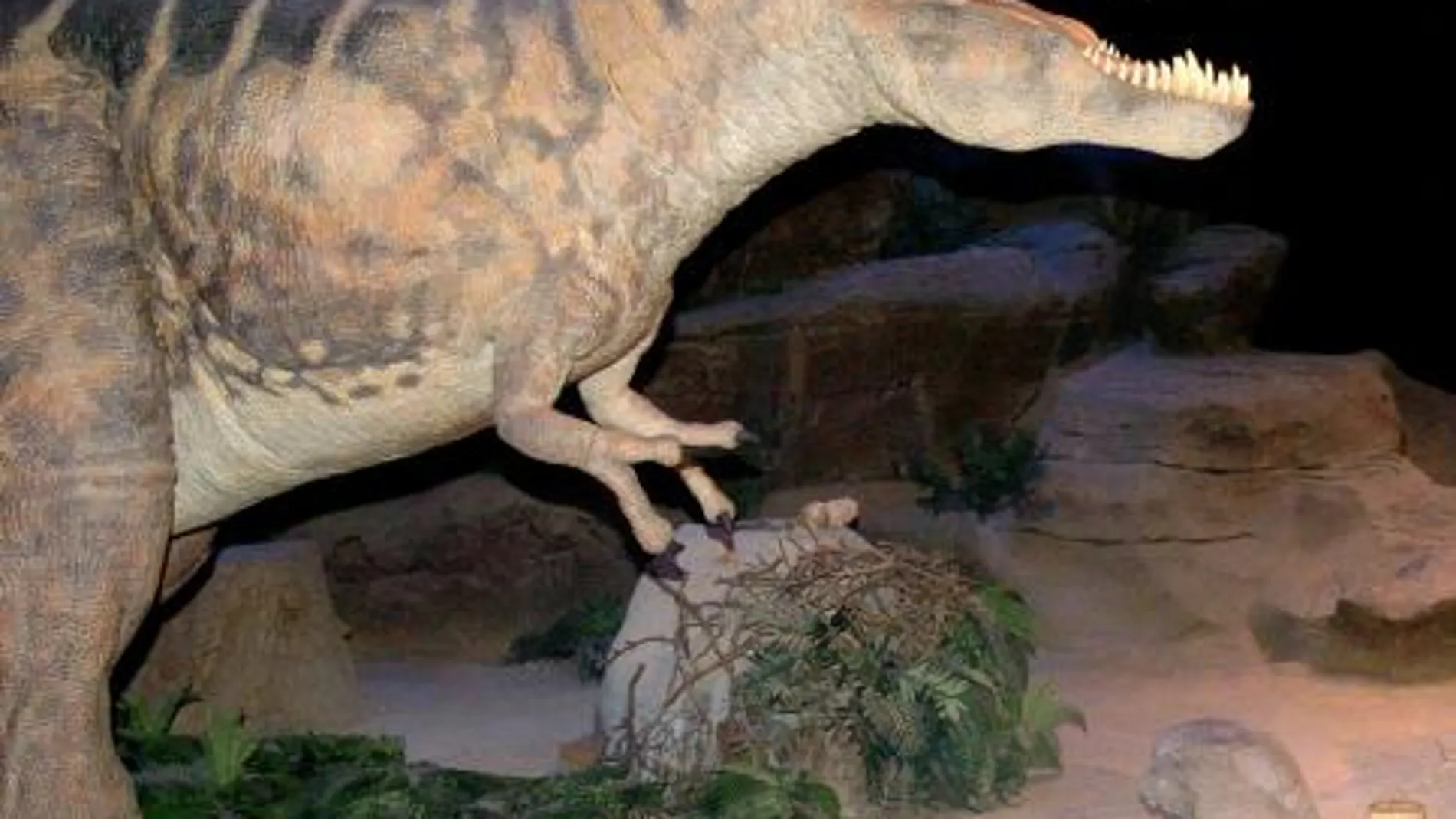 La extinción de los dinosaurios fue producto de la mala suerte