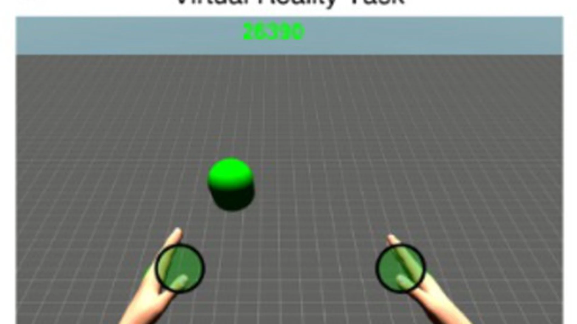 Imagen de la realidad virtual mostrada a los pacientes