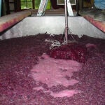 Proceso de fermentación del vino