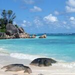 Las islas Seychelles presumen de idílicas playas