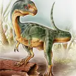  Descubre una extraña especie de dinosaurio hervíboro