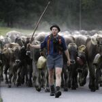 Investigadores españoles participan en la secuenciación del genoma bovino