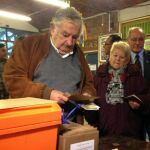 El ex presidente de Uruguay José Mujica deposita su voto en Montevideo
