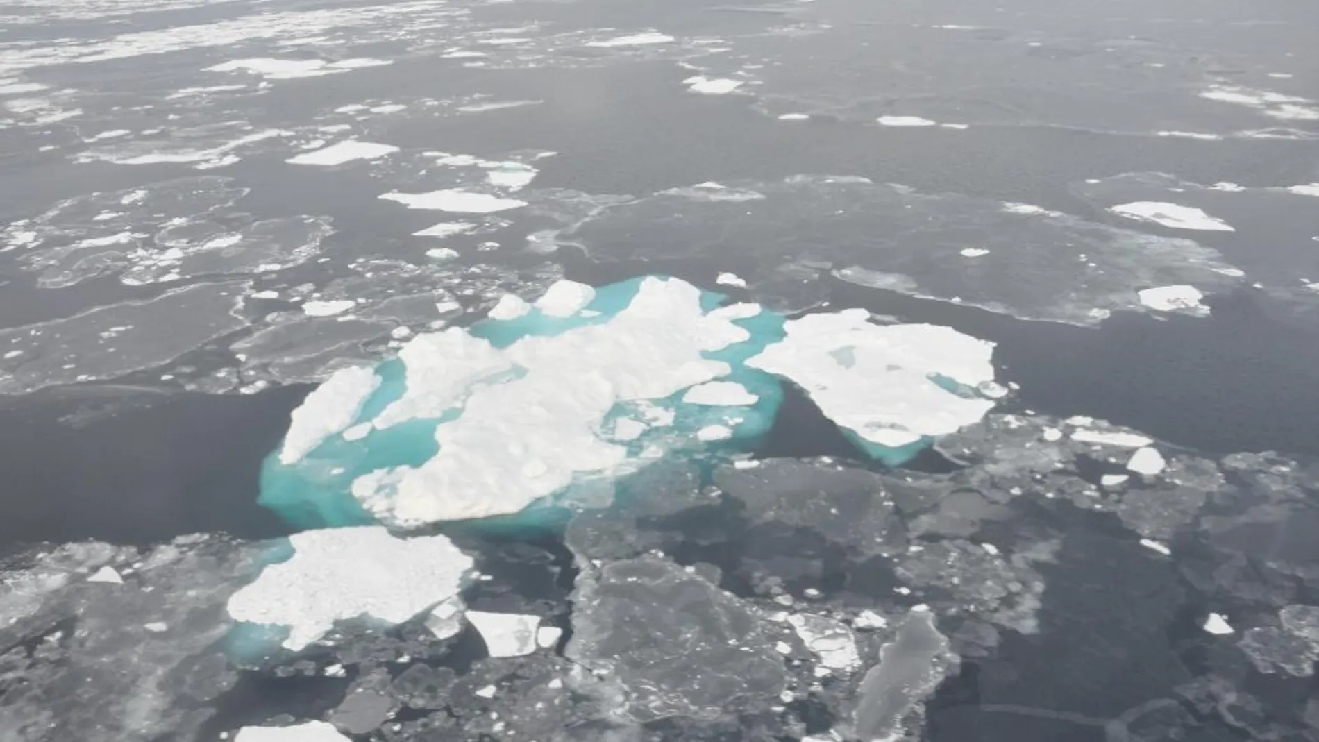 Restos de iceberg a la deriva, este verano en el Ártico