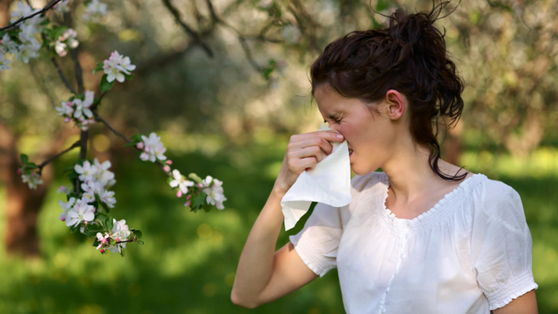 Primavera: abierta la veda de las alergias