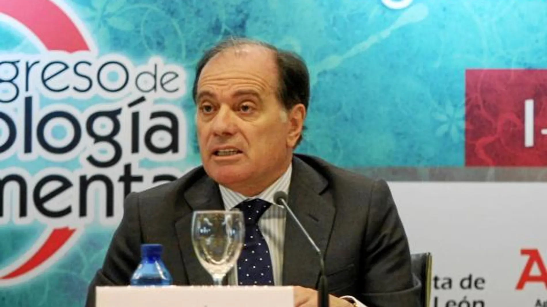 El vicepresidente segundo y consejero de Economía y Empleo, Tomás Villanueva