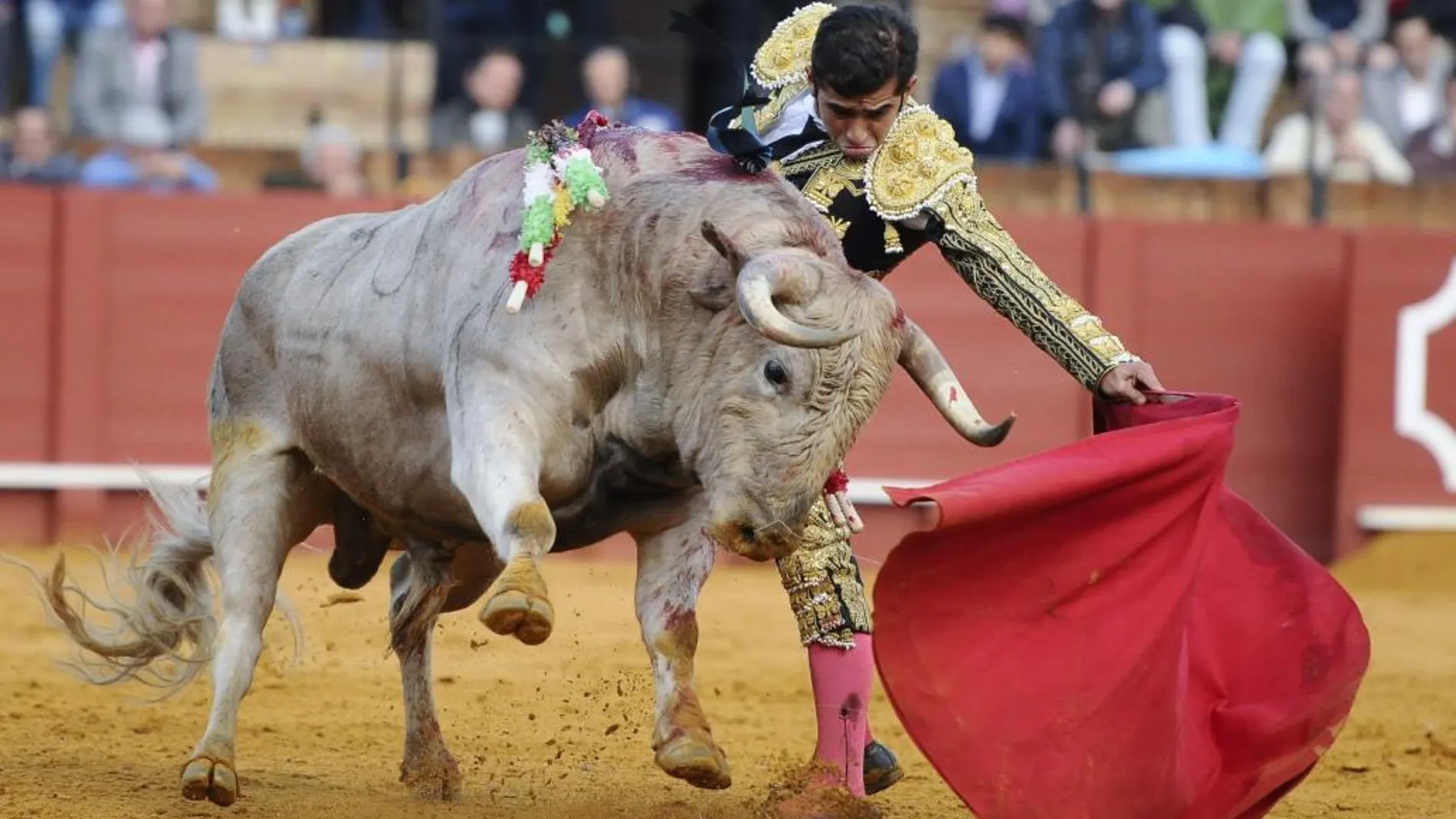 El diestro mexicano Joselito Adame remata la actuación de su segundo toro de la feria