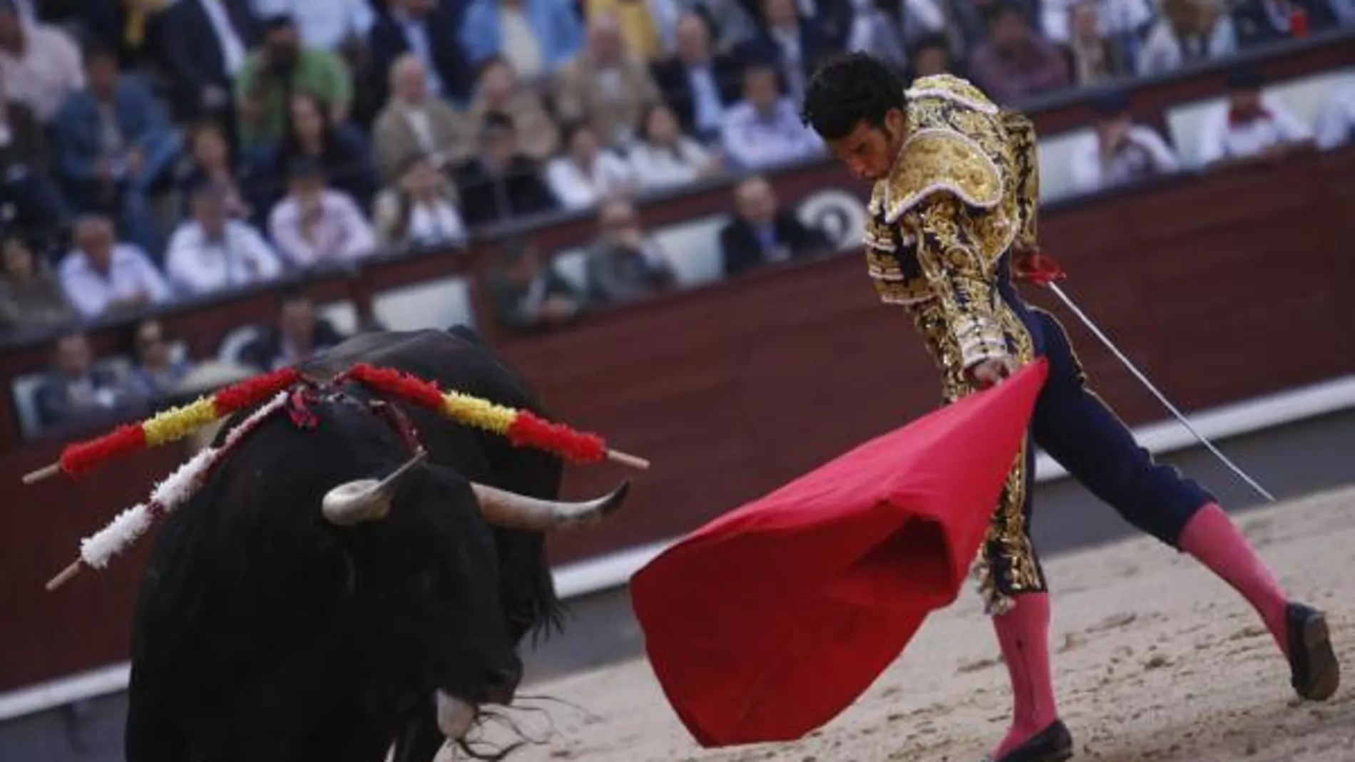 No todos los toros son iguales