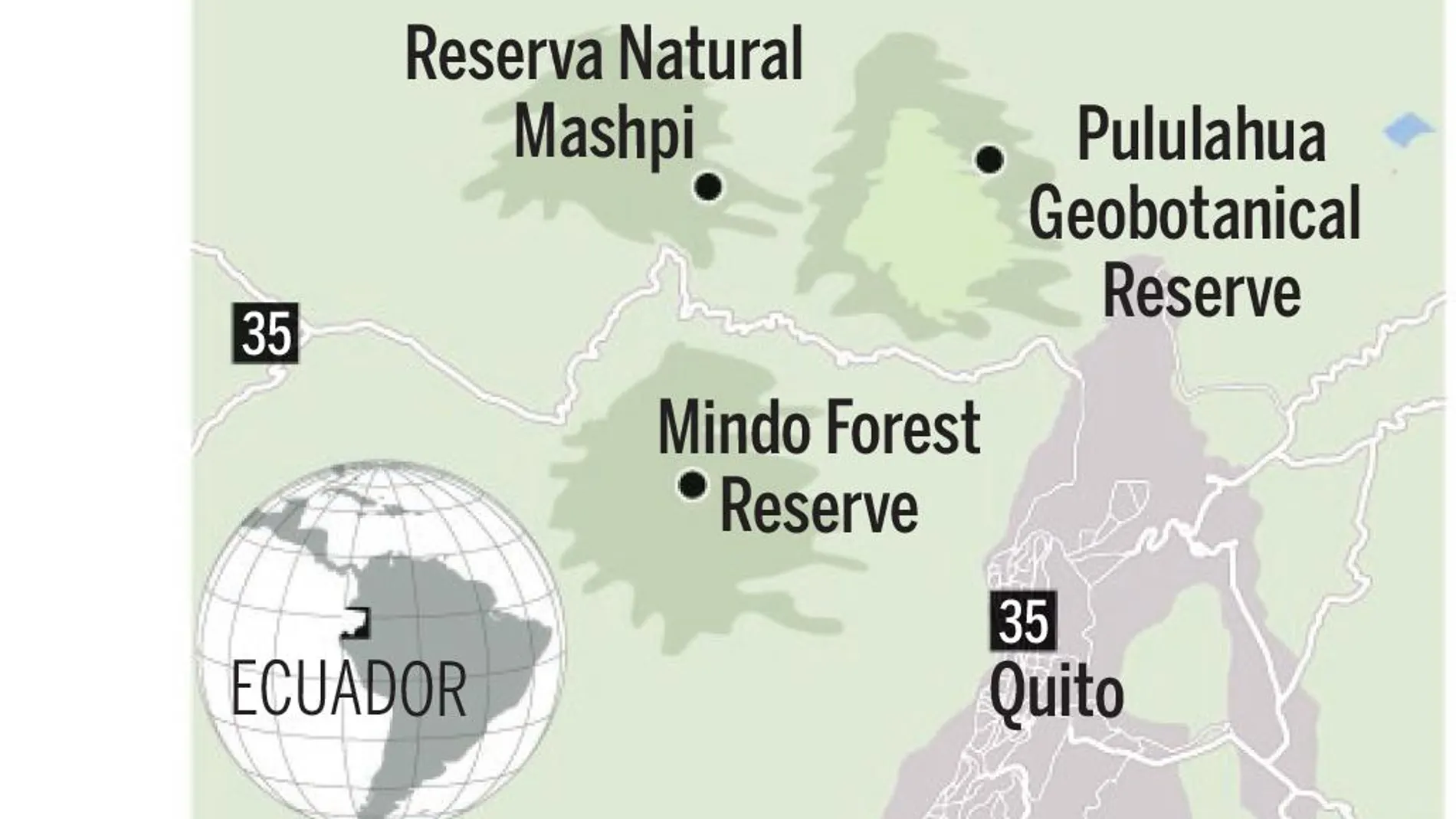 Mashpi, la reserva natural más salvaje de Ecuador