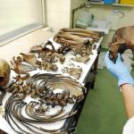 Los restos óseos de la imagen pertenecen a un cuerpo que llevaba diez años enterrado