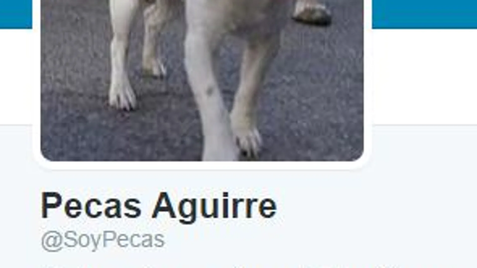 El perro de Aguirre retoma su cuenta en Twitter