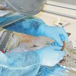 La «joven Eva» de los neandertales