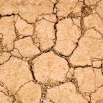 La sequía provoca grandes problemas en el sur de la Comunitat