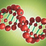 Nutrigenómica: cuando la dieta la marcan los genes