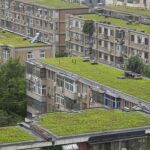 Los tejados de varios edificios residenciales y hospitalarios de Pekín (China) aparecen cubiertos de césped en una medida para ahorrar energía en la capital. Fuente: EFE