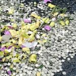 Algunas de las monedas de uno y dos euros, derramadas en la autopista