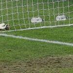 Kawashima, en el suelo, después de encajar el gol