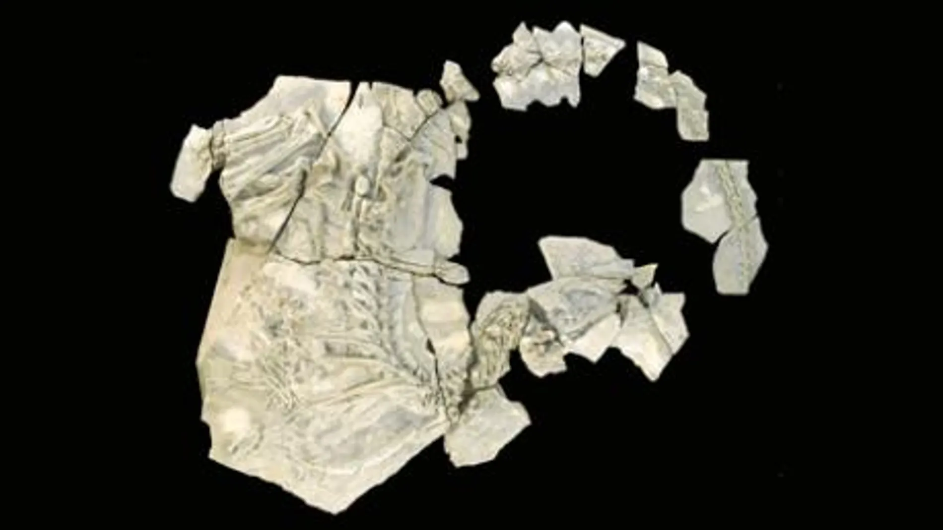 El esqueleto fosilizado es el más completo hallado en España hasta ahora. Su preparación ha sido muy laboriosa para los paleontólogos