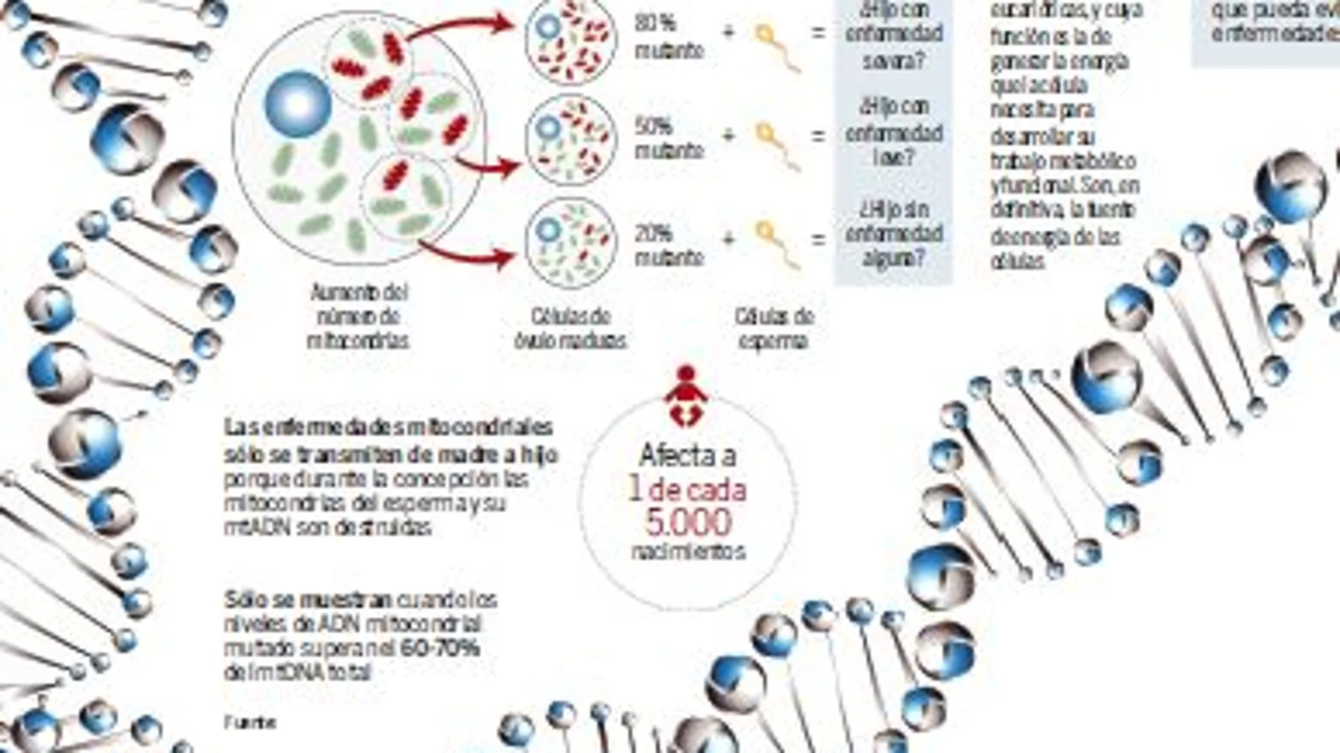 Manipulan el ADN para erradicar enfermedades hereditarias