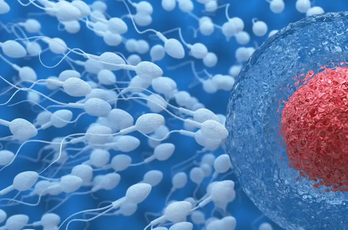 Conservar la fertilidad de las mujeres con endometriosis es posible