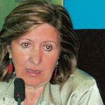 Sanidad investiga un segundo caso sospechoso de gripe porcina