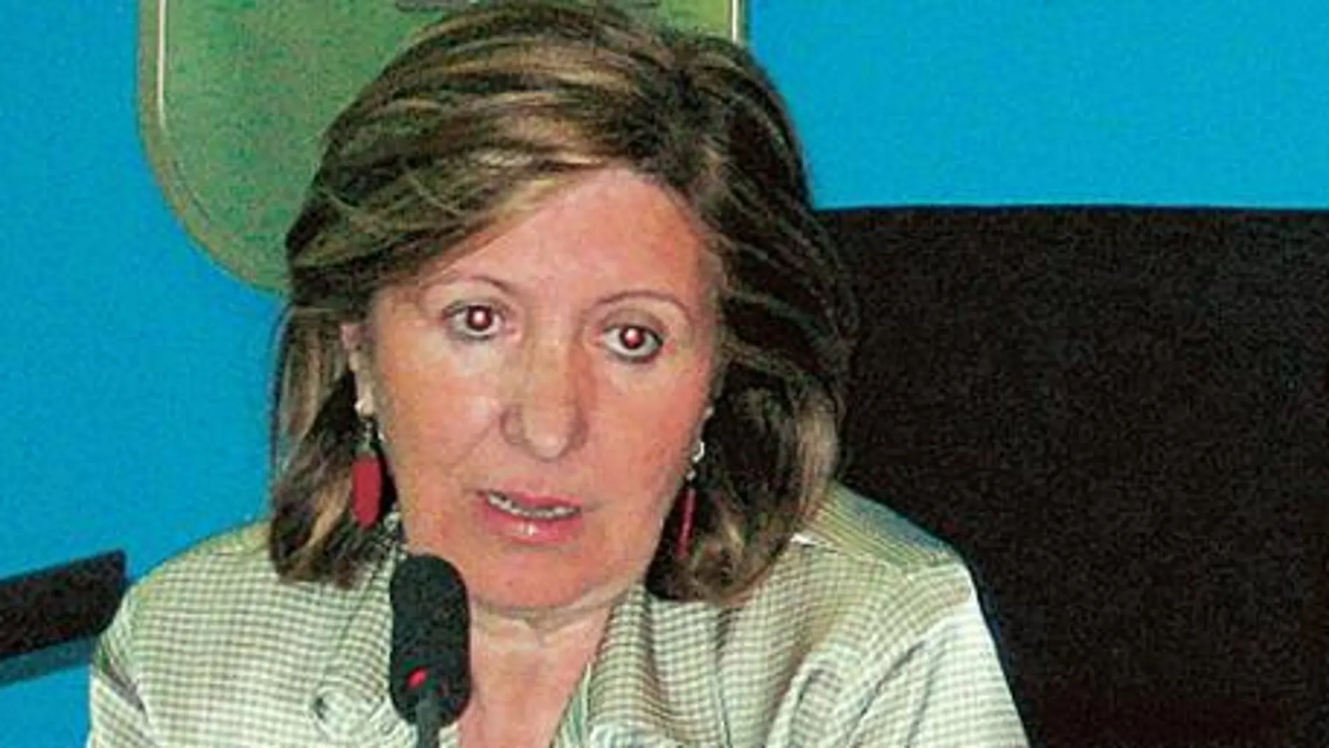 Sanidad investiga un segundo caso sospechoso de gripe porcina