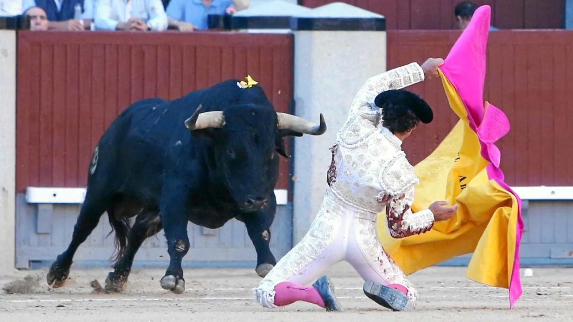 El madrileño Miguel Abellán a portagayola ante su segundo toro de la tarde