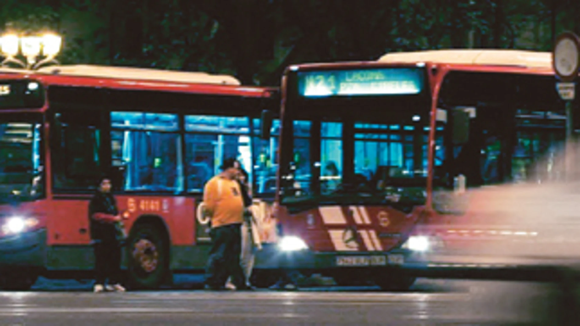 Más de 600 kilómetros de «búhos»