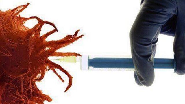 Modifican el virus del herpes labial para combatir el cáncer de piel
