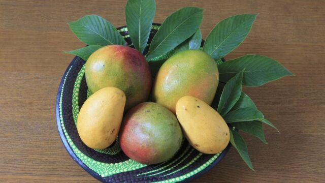Axarquía malagueña: versión española del cultivo ecológico de subtropicales