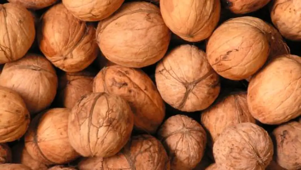Añadir 30 gramos de nueces al día aumenta la presencia de grasas «buenas» o insaturadas en el organismo