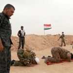 Voluntarios chiíes rezan en Faluya durante la ofensiva para recuperar la provincia iraquí de Al Anbar