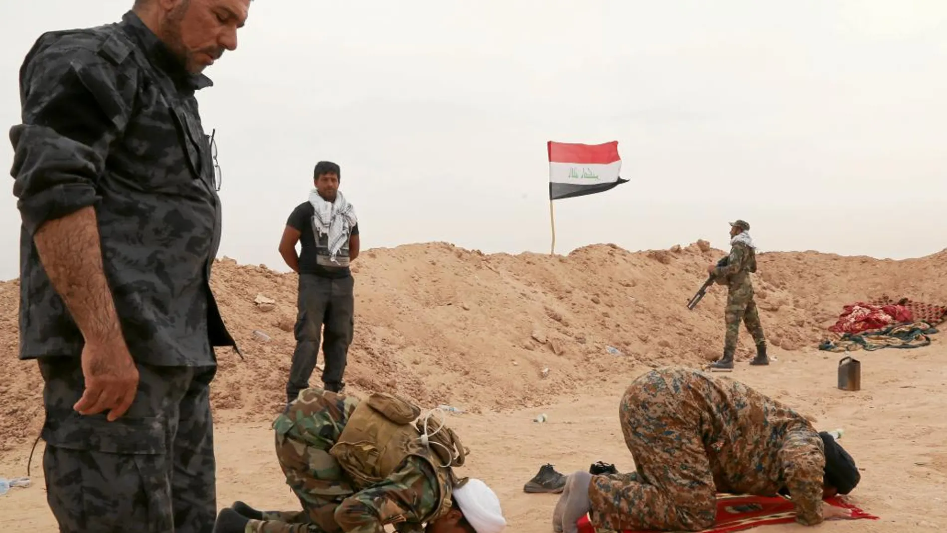 Voluntarios chiíes rezan en Faluya durante la ofensiva para recuperar la provincia iraquí de Al Anbar