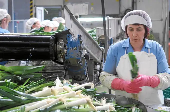 Nuevas ayudas para la industria agroalimentaria de Castilla y León con una dotación de 70 millones