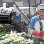 La industria agroalimentaria fue de las que más puestos de trabajó creó en el mes de mayo en Castilla y León