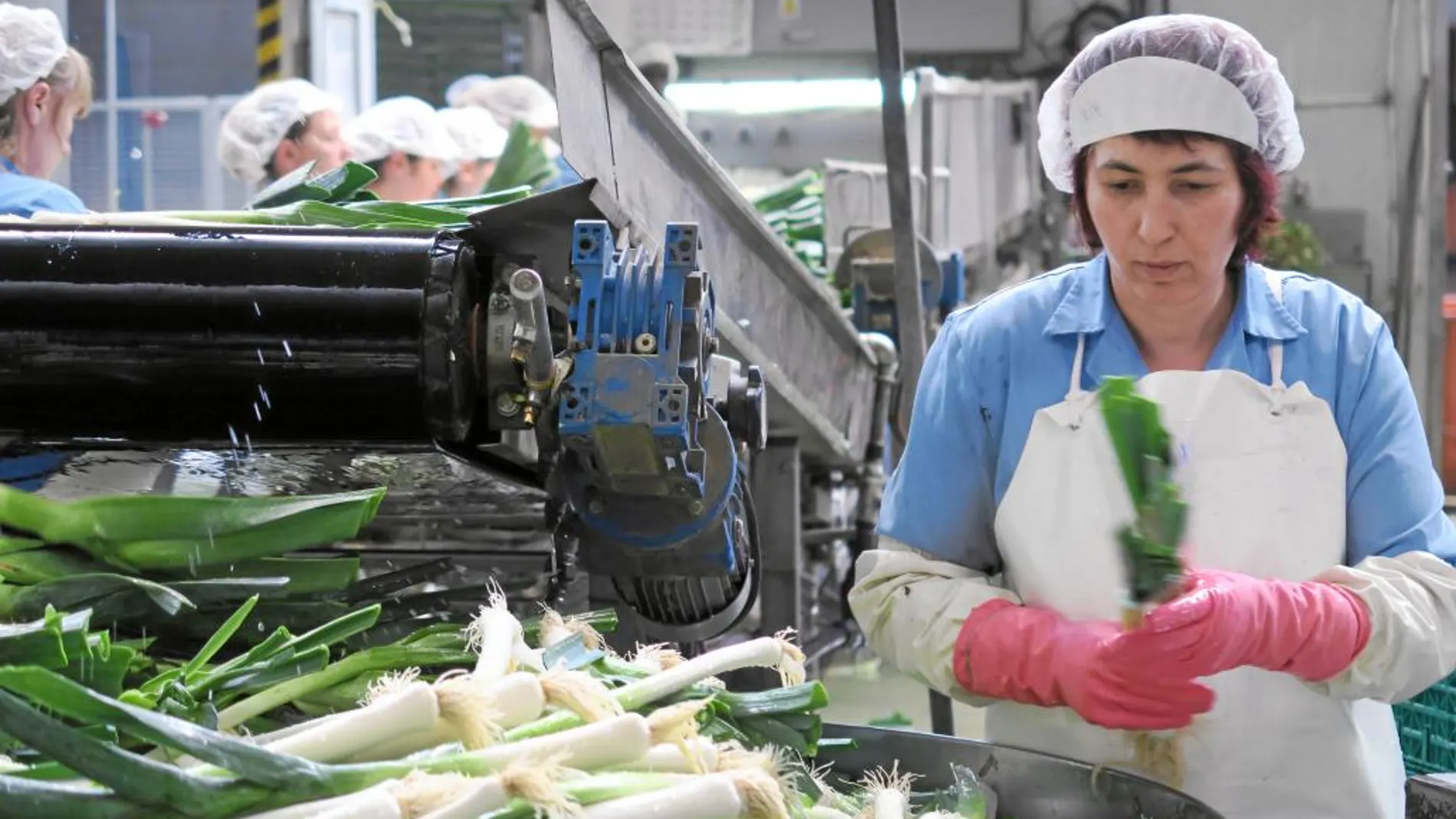 La industria agroalimentaria fue de las que más puestos de trabajó creó en el mes de mayo en Castilla y León