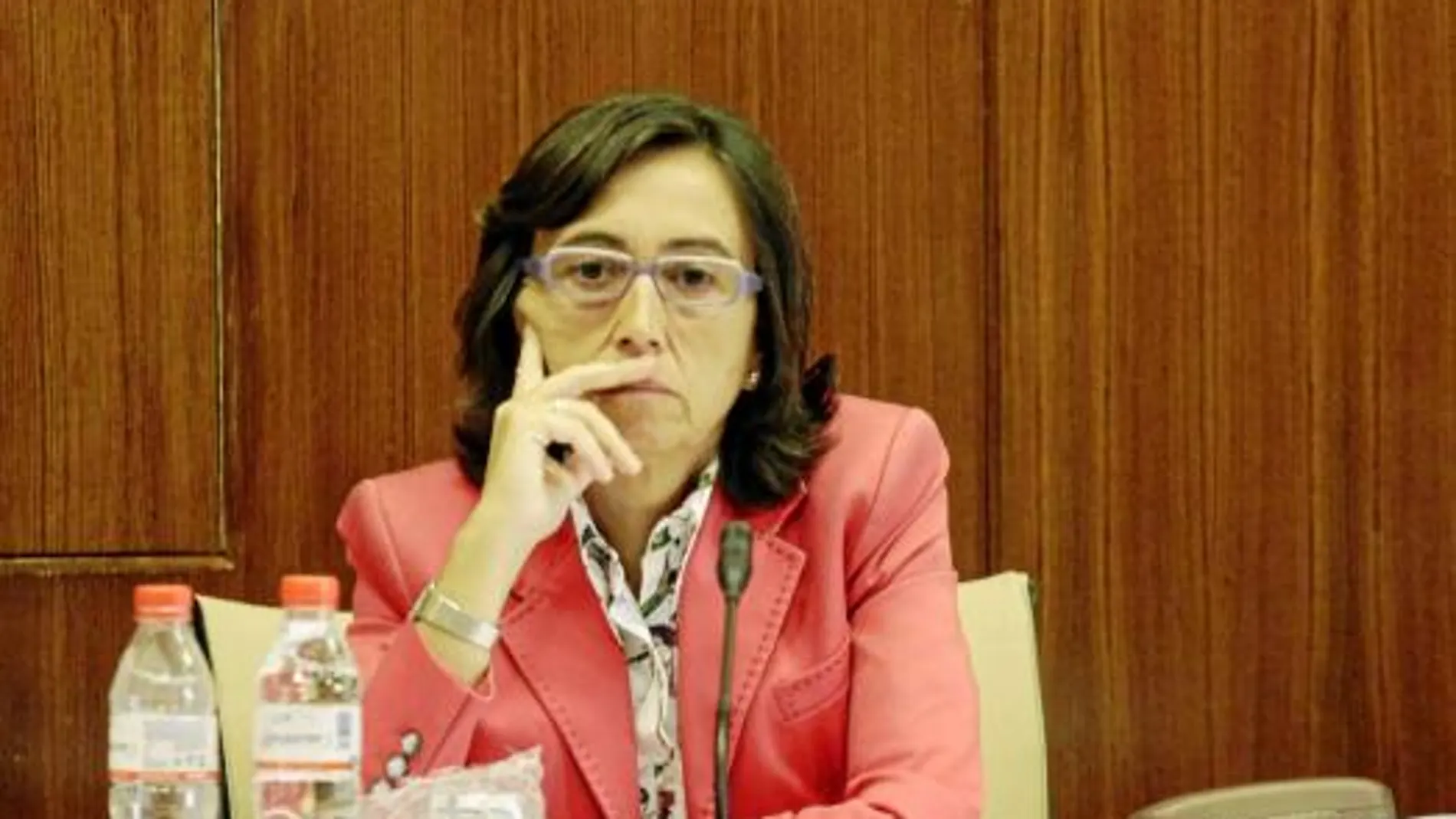 Rosa Aguilar, cariacontecida, ayer en la Comisión de Obras Públicas del Parlamento andaluz