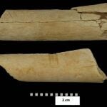 Estos huesos fosilizados y modificados encontrados en Gona eran hasta ahora las herramientas más antiguas encontradas