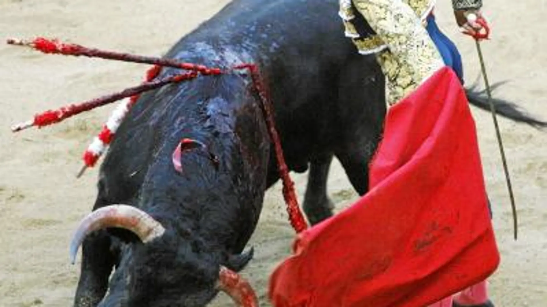 El diestro de Galapagar, durante una corrida de toros en la Monumental de Barcelona