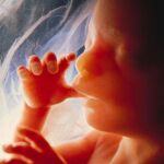 El bebé corre el riesgo de nacer con el denominado síndrome alcohólico fetal