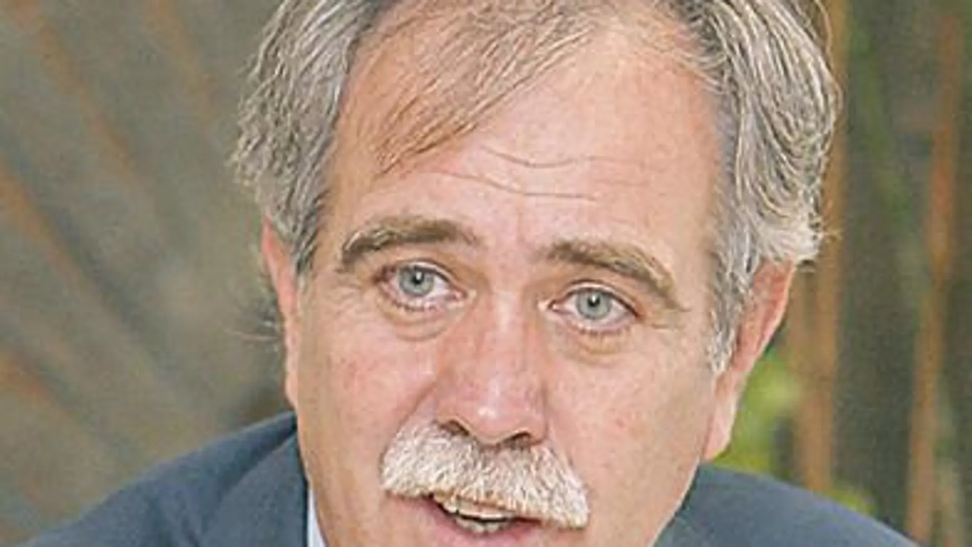 «Me gustaría tener algo de lobo»