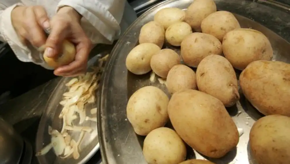 Alemania da luz verde a las patatas transgénicas tras haber prohibido hace dos semanas un tipo de maíz OGM