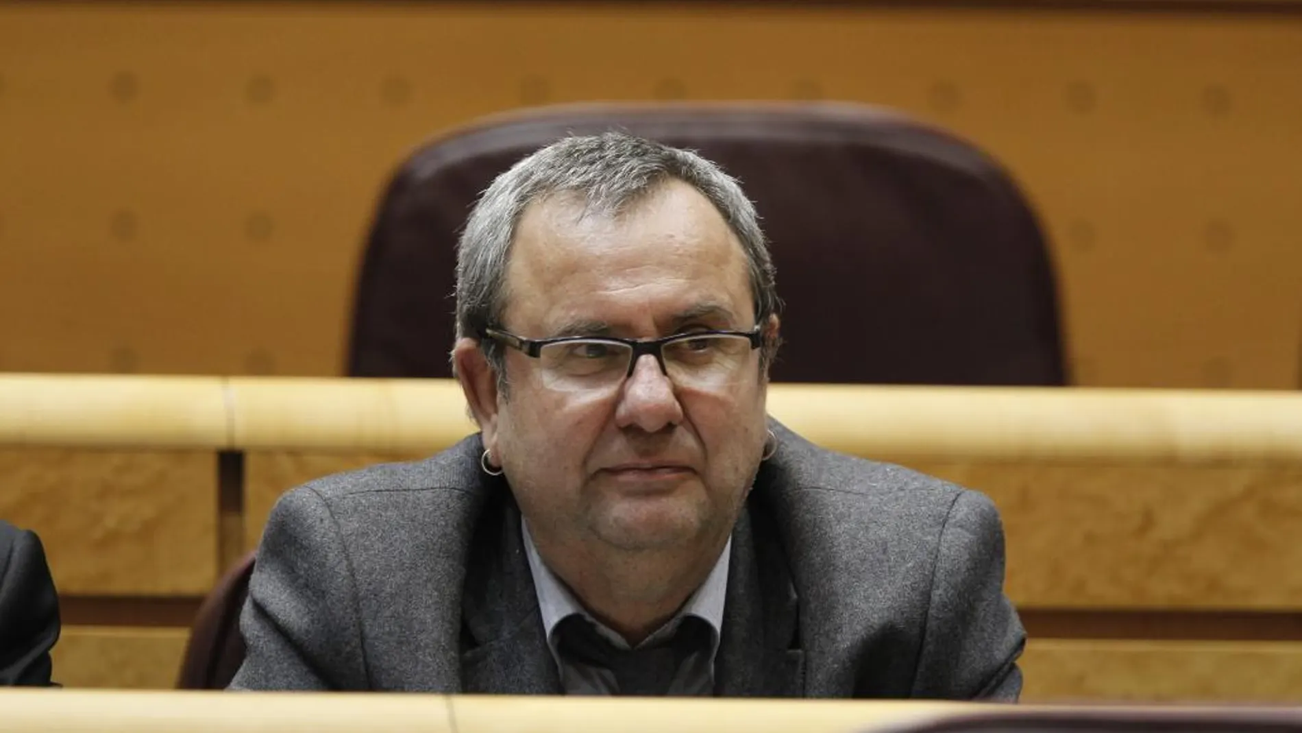 El senador de EH Bildu, Iñaki Goioaga