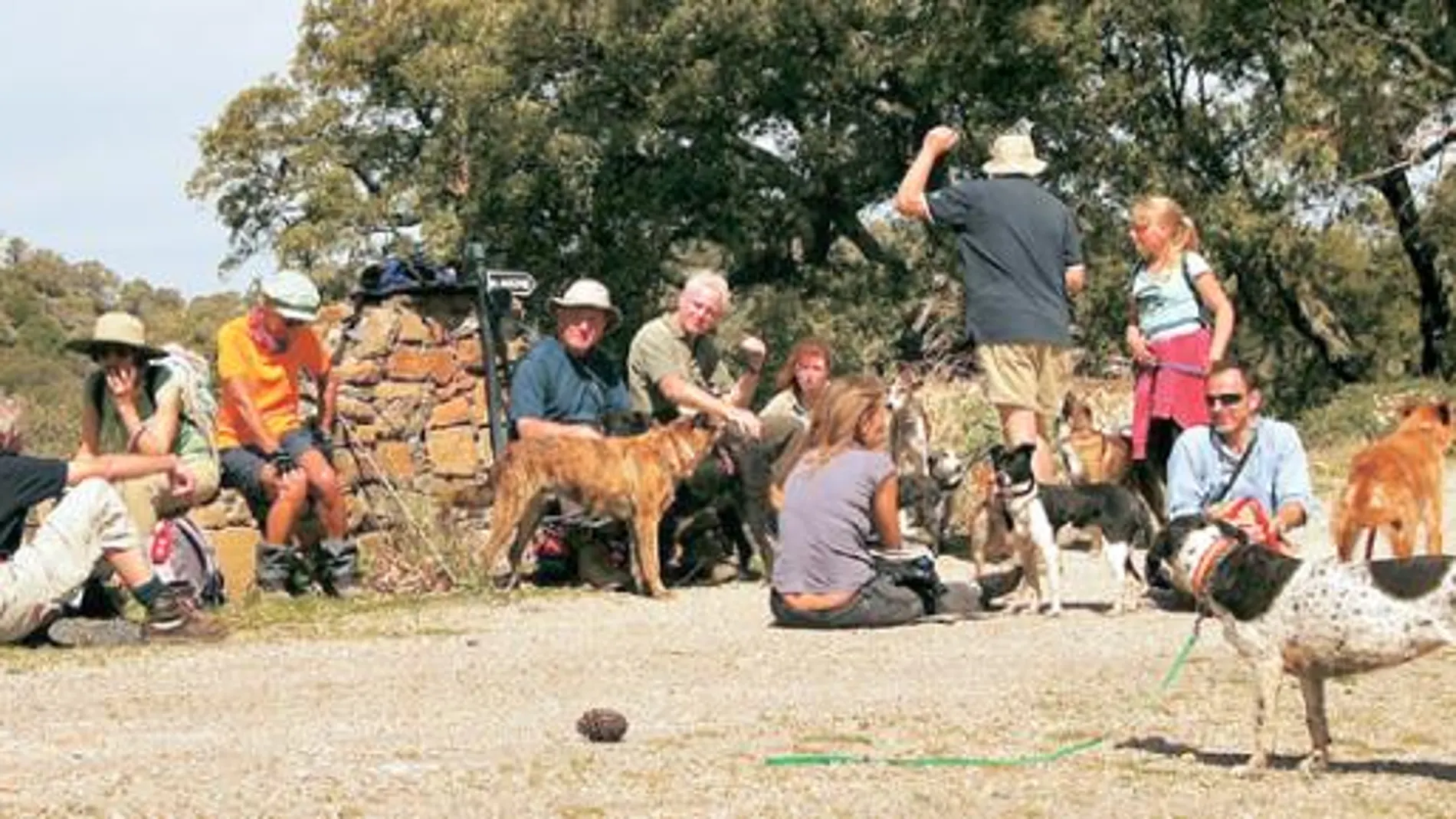 Los peregrinos, acompañados de sus perros, descansan en una de las jornadas de su Camino de Santiago particular.