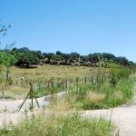 Camino con el que ha invadido el Ministerio de Medio Ambiente, y Medio Rural y Marino la Finca de Lobones